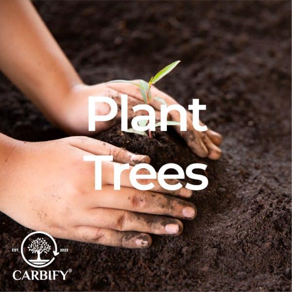 plant_trees_carbify